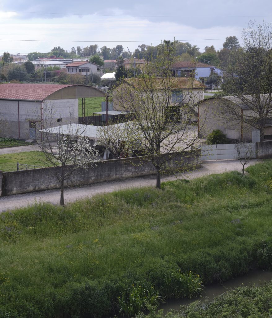 Argine del fiume Sisto nei pressi di Borgo San Michele, fotografia di Antonio Di Cecco 2023