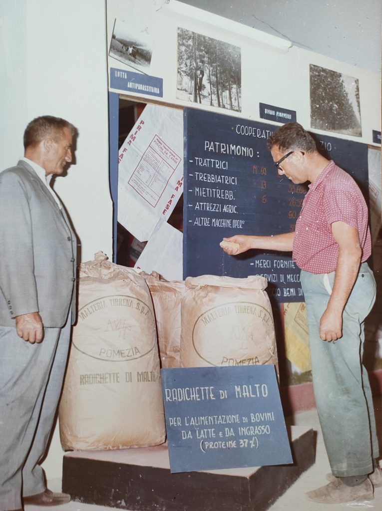 Esposizione radichette di malto, Malteria Tirrena, Pomezia (RM), s.d. Archivio Storico Birra Peroni, Roma